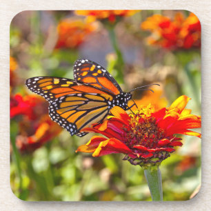Posavasos Monarch Buterfly