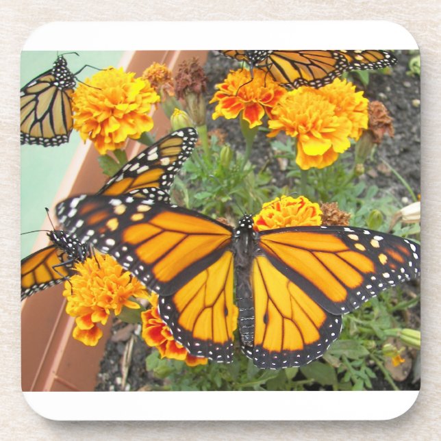 Posavasos Monarch Butterflies-cork coaster (Frente)