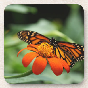 Posavasos Monarch Butterfly Cork Coasters