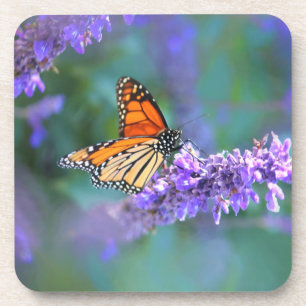 Posavasos Monarch Butterfly on Purple lilac Flower