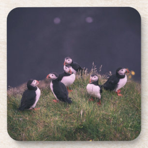 Posavasos Monasterio de Bebidas de Puffins del Atlántico