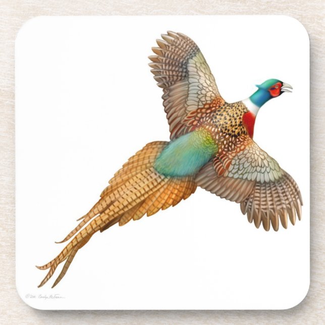 Posavasos Monasterio de Corcho Pheasant de Flying Wild Ringn (Frente)