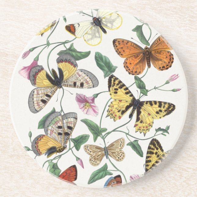 Posavasos Monasterio de Ilustracion antiguo de mariposa de a (Frente)