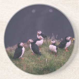 Posavasos Monasterio de los Puffins del Atlántico