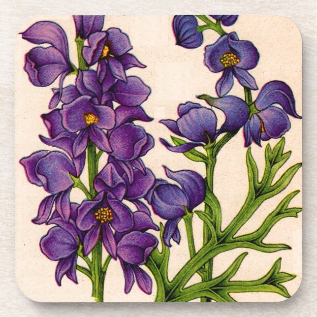 Posavasos monje morado (Frente)
