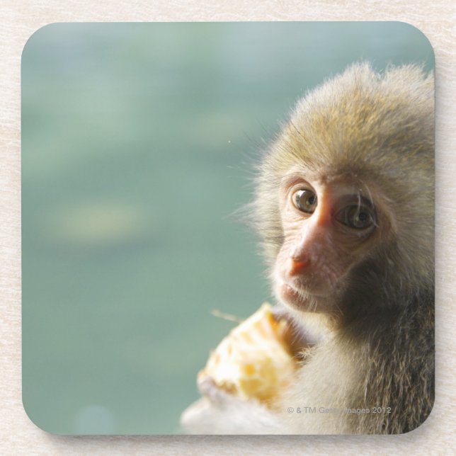 Posavasos Mono (Frente)