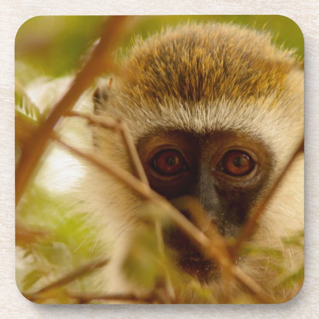 Posavasos Mono Cheeky. (Frente)