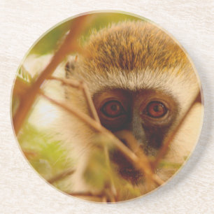 Posavasos Mono Cheeky.