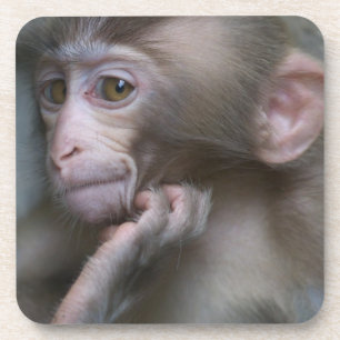 Posavasos Mono del bebé