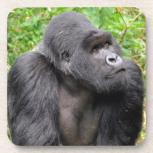 Posavasos Mono feliz