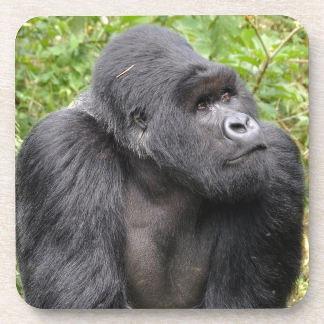 Posavasos Mono feliz (Frente)