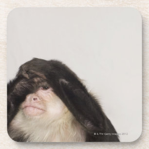 Posavasos Mono que cubre sus ojos