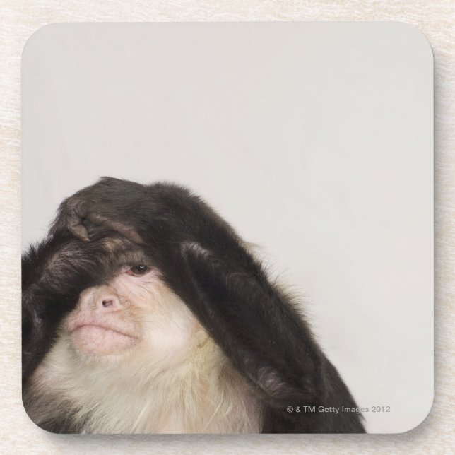 Posavasos Mono que cubre sus ojos (Frente)