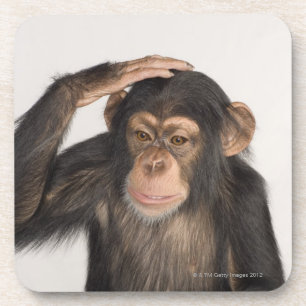 Posavasos Mono que rasguña su cabeza