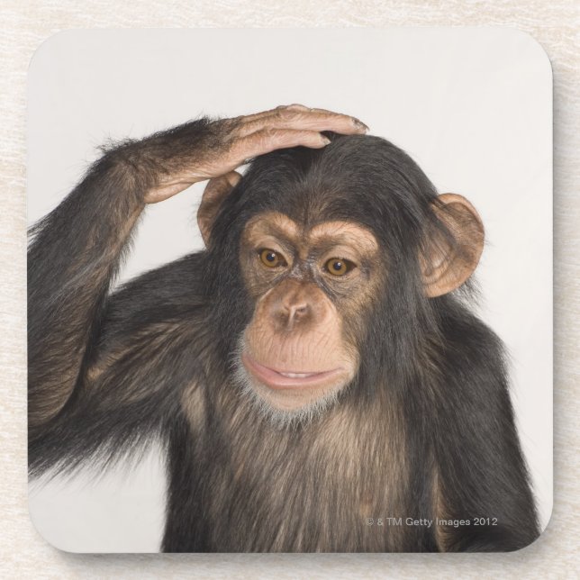 Posavasos Mono que rasguña su cabeza (Frente)