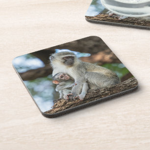 Posavasos Mono Vervet Atento – Inspirado en la Naturaleza