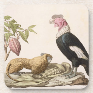 Posavasos Mono y cóndor de león, nativos a Chile o a Ecuad