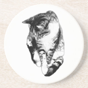 Posavasos Monocromo de gato con pestañas hacia abajo