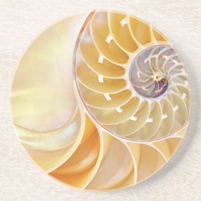 Posavasos Monstruo de arena de Nautilus (Frente)