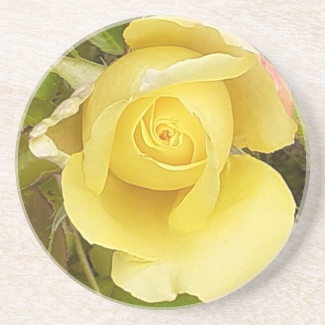 Posavasos Monstruo de arenisca amarillo Rosebud (Frente)