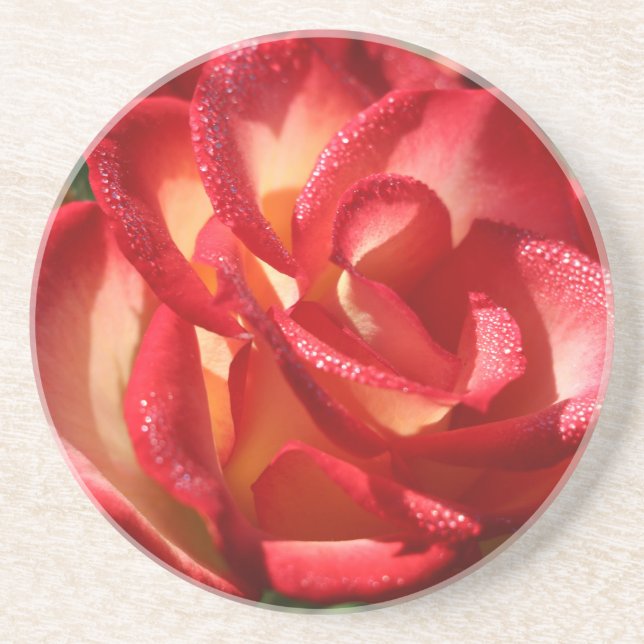 Posavasos Monstruo de bebida de arena (Frente)