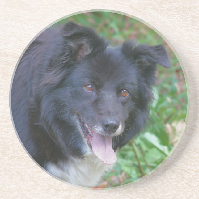 Posavasos Monstruo de bebidas de perro collie en la frontera (Frente)