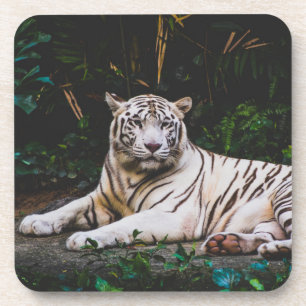 Posavasos Monstruo de bebidas de tigre