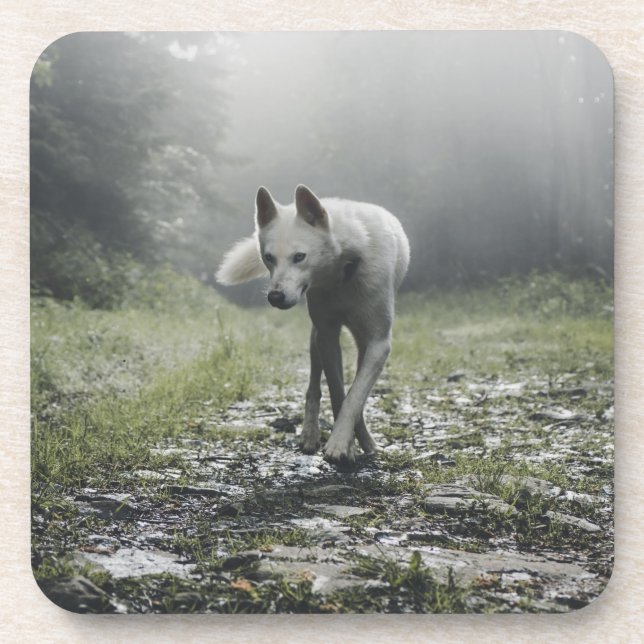 Posavasos Monstruo de bebidas Husky Siberian (Frente)