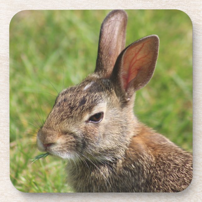 Posavasos Monstruo de conejo conejo conejo (Frente)