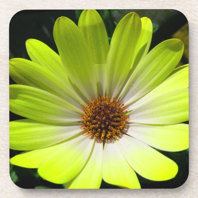 Posavasos Monstruo de corcho amarillo fluorescente de margar (Frente)