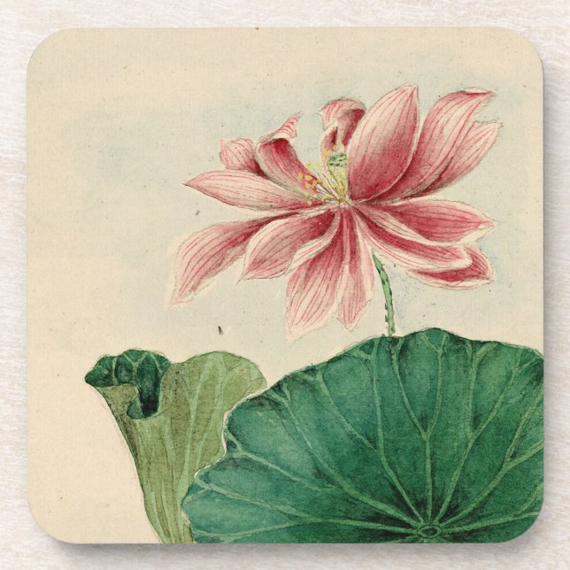Posavasos Monstruo de corcho con flores de Lotus (Frente)