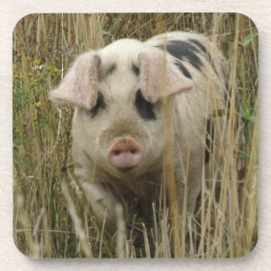 Posavasos Monstruo de corcho de cerdo