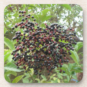 Posavasos Monstruo de corcho de Elderberries