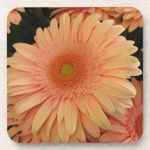 Posavasos Monstruo De Corcho De Flor Rosa
