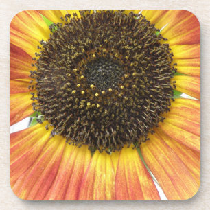 Posavasos Monstruo de corcho de girasol naranja