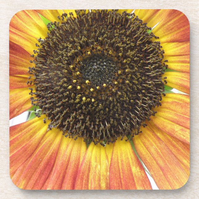 Posavasos Monstruo de corcho de girasol naranja (Frente)