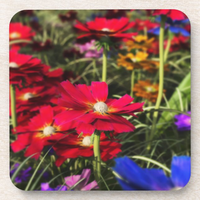 Posavasos Monstruo de corcho de primavera irlandés (Frente)