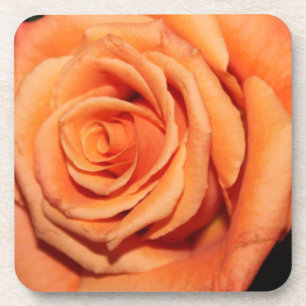 Posavasos Monstruo de corcho de Rosa de arce
