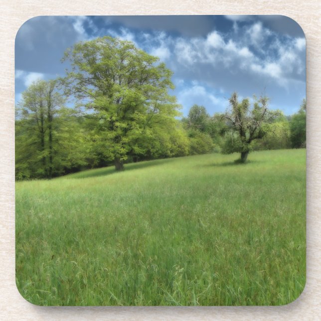 Posavasos Monstruo de corcho verde appalache (Frente)