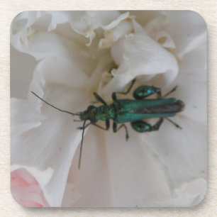 Posavasos Monstruo de escarabajo de flores
