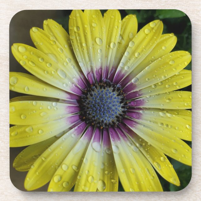 Posavasos Monstruo de flores amarillas (Frente)