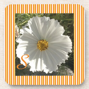 Posavasos Monstruo de flores de Cosmos Blancos