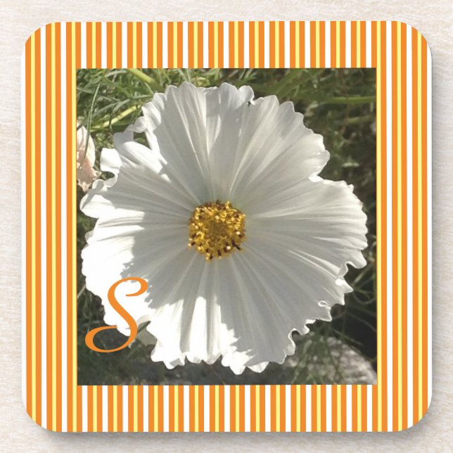 Posavasos Monstruo de flores de Cosmos Blancos (Frente)
