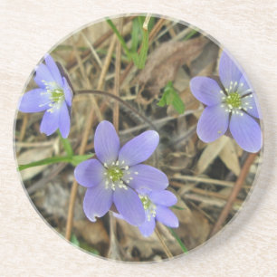 Posavasos Monstruo de flores silvestres azul suave Hepatica