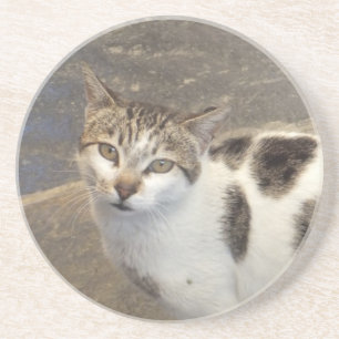 Posavasos Monstruo de gato