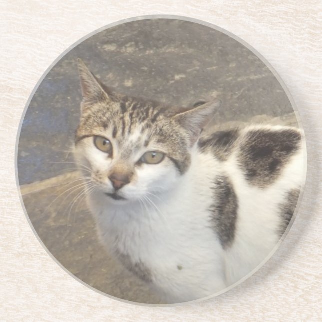 Posavasos Monstruo de gato (Frente)