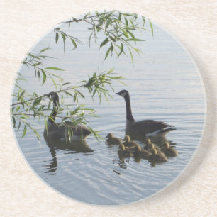 Posavasos Monstruo de Geese salvaje