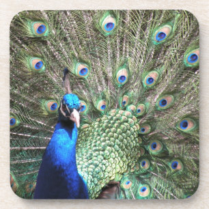 Posavasos Monstruo de Peacock