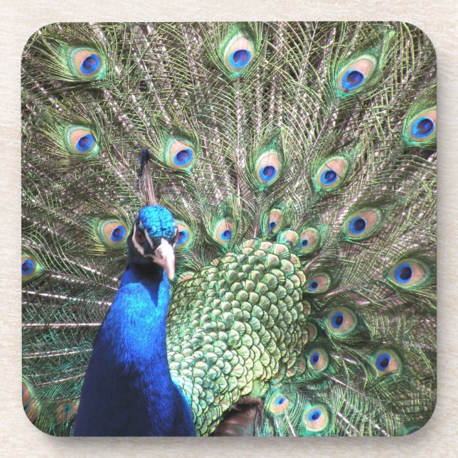 Posavasos Monstruo de Peacock (Frente)