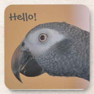 Posavasos Monstruo de plástico de loro gris africano